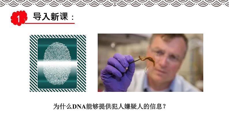 高中必修一生物《第5节 核酸是遗传信息的携带者》ppt课件3-统编人教版第3页