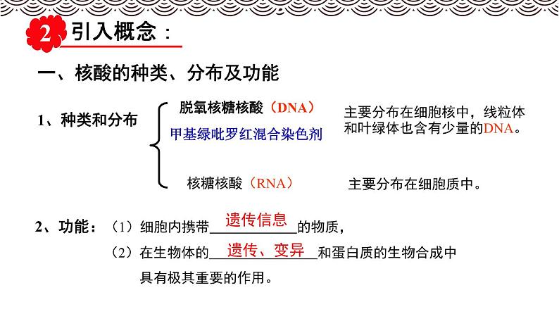 高中必修一生物《第5节 核酸是遗传信息的携带者》ppt课件3-统编人教版第4页