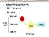 高中必修一生物《第5节 核酸是遗传信息的携带者》ppt课件3-统编人教版
