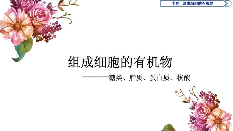 高中必修一生物第2章《组成细胞的有机物》ppt课件3-统编人教版01