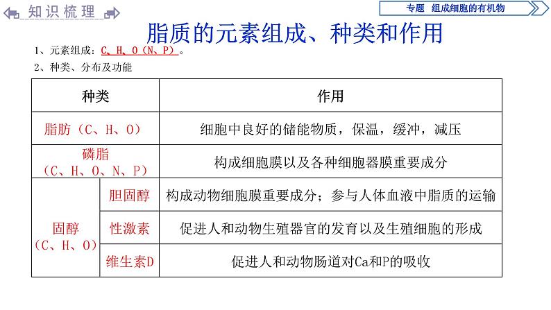 高中必修一生物第2章《组成细胞的有机物》ppt课件3-统编人教版05