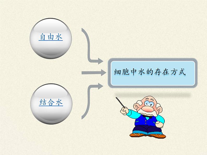 高中生物必修一《第2节 细胞中的无机物》ppt课件1-统编人教版第8页