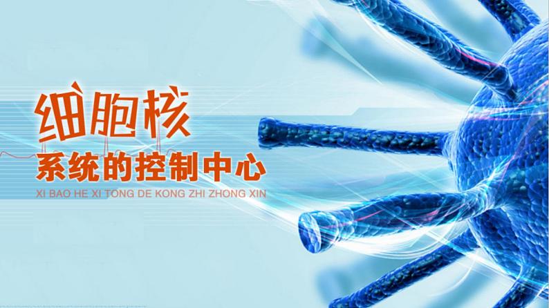 高中必修一生物《第3节 细胞核的结构和功能》ppt课件3-统编人教版第1页