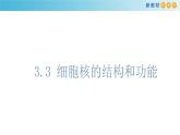 高中生物必修一《第3节 细胞核的结构和功能》ppt课件-统编人教版