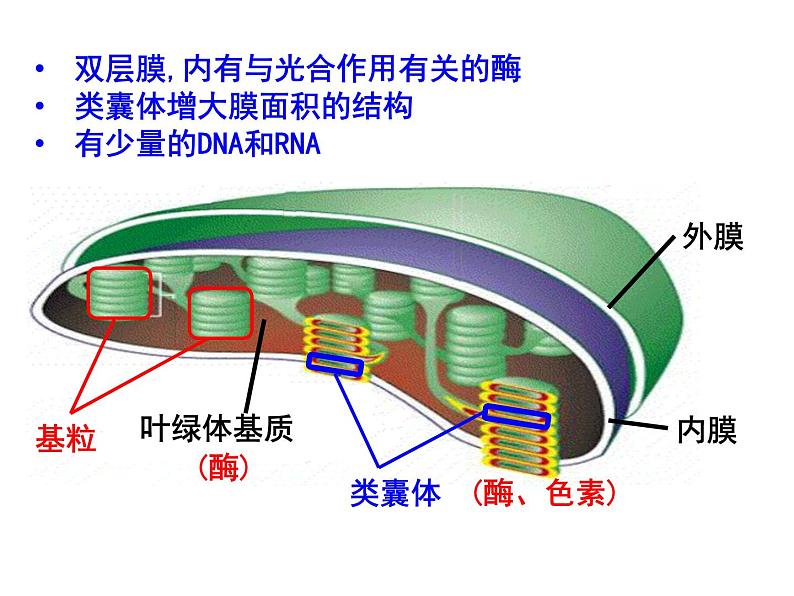 高中必修一生物《二 光合作用的原理和应用》ppt课件3-统编人教版第1页