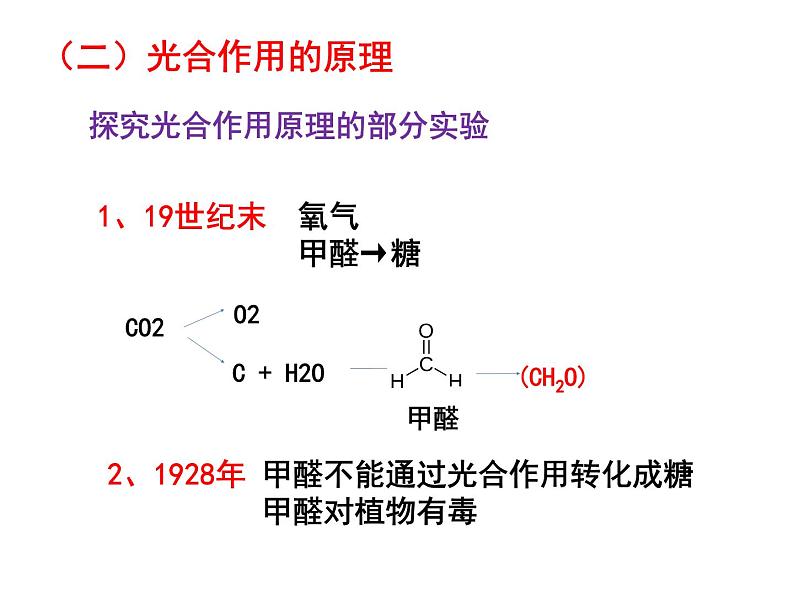 高中必修一生物《二 光合作用的原理和应用》ppt课件3-统编人教版第4页