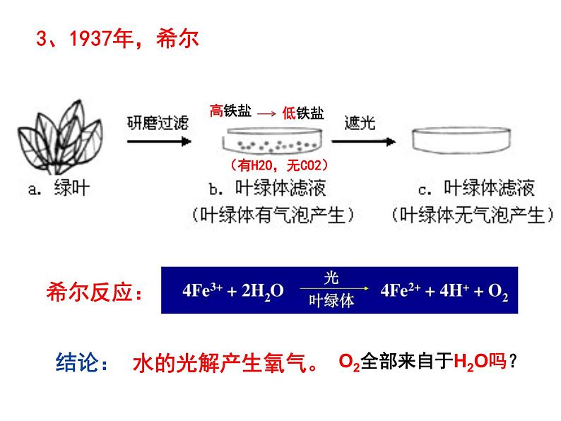 高中必修一生物《二 光合作用的原理和应用》ppt课件3-统编人教版第5页