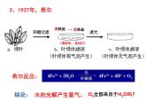 高中必修一生物《二 光合作用的原理和应用》ppt课件3-统编人教版