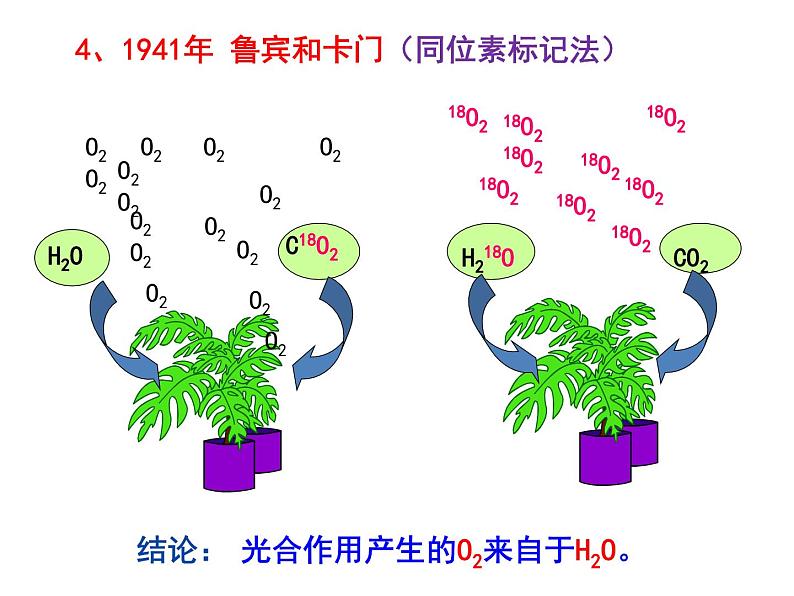 高中必修一生物《二 光合作用的原理和应用》ppt课件3-统编人教版第6页