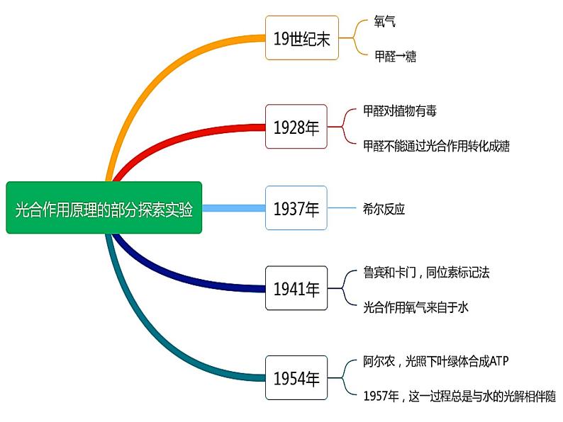 高中必修一生物《二 光合作用的原理和应用》ppt课件3-统编人教版第8页