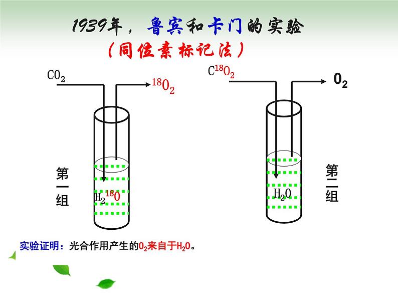 高中生物必修一《二 光合作用的原理和应用》ppt课件2-统编人教版06
