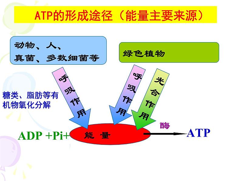 高中生物必修一《第3节 细胞呼吸的原理和应用》ppt课件1-统编人教版01