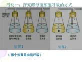 高中生物必修一《第3节 细胞呼吸的原理和应用》ppt课件1-统编人教版