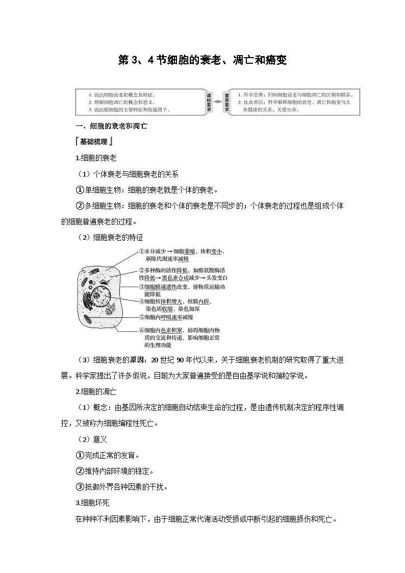 高中生物必修一《第3节 细胞的衰老和死亡》教学设计-统编人教版第1页