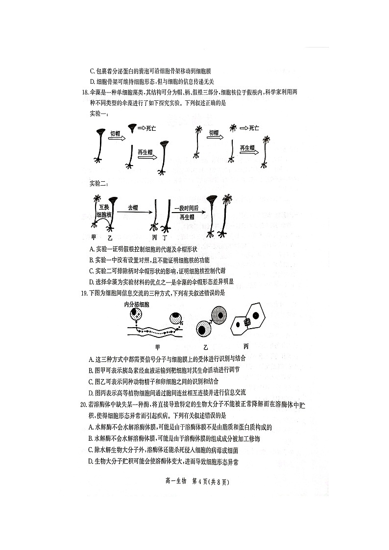 2022-2023学年河北省张家口市高一上学期期中考试生物03