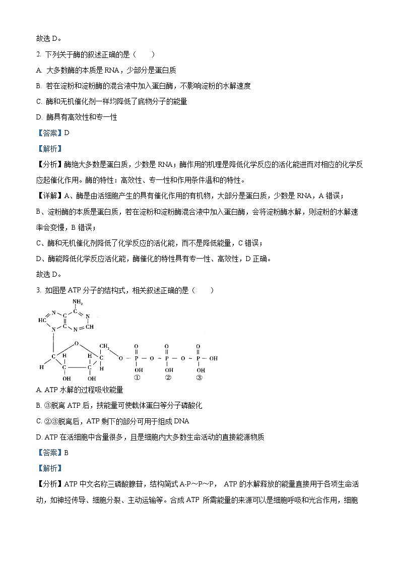 湖南省邵阳市武冈市2023-2024学年高二上学期期中生物试题（Word版附解析）02
