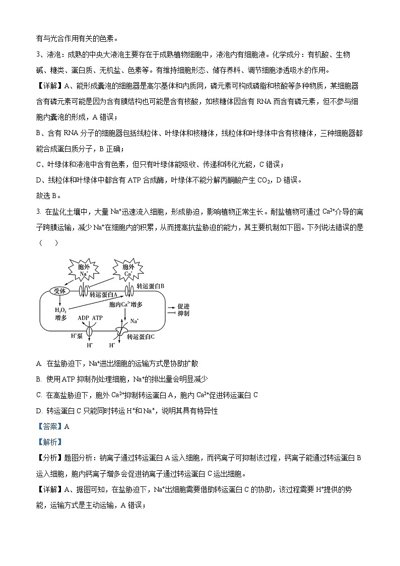 湖南省长沙市一中2023-2024学年高三上学期月考(四)生物试题（Word版附解析）02