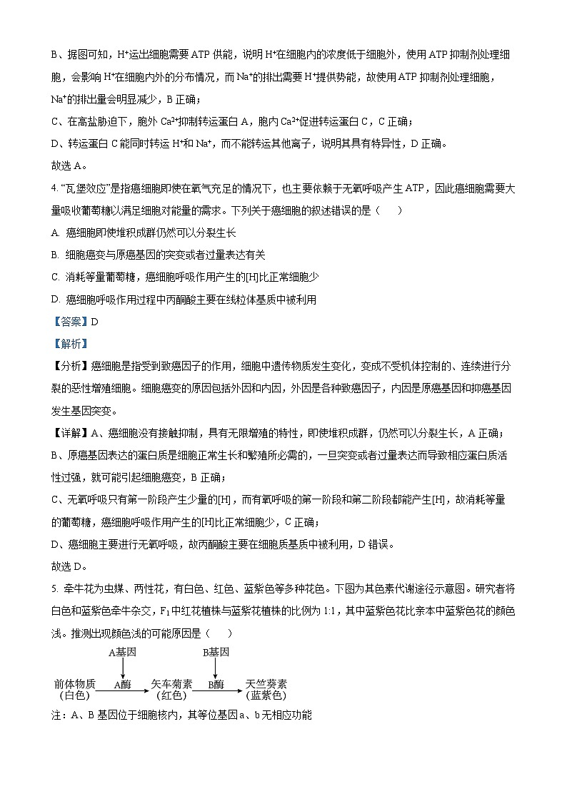 湖南省长沙市一中2023-2024学年高三上学期月考(四)生物试题（Word版附解析）03