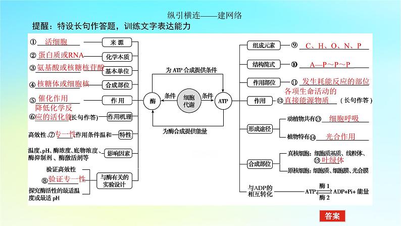 新教材2024高考生物二轮专题复习专题二生命系统的代谢第1讲细胞内的酶和ATP课件第5页