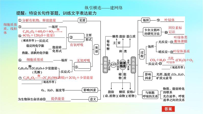 新教材2024高考生物二轮专题复习专题二生命系统的代谢第2讲细胞呼吸和光合作用课件04