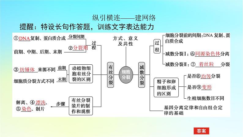 新教材2024高考生物二轮专题复习专题三生命系统的延续第1讲细胞增殖和受精作用课件第5页