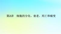 新教材2024高考生物二轮专题复习专题三生命系统的延续第2讲细胞的分化衰老死亡和癌变课件