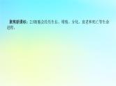 新教材2024高考生物二轮专题复习专题三生命系统的延续第2讲细胞的分化衰老死亡和癌变课件