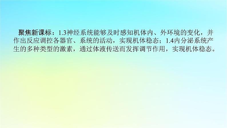 新教材2024高考生物二轮专题复习专题五生命系统的稳态与调节第2讲动物生命活动的调节课件02