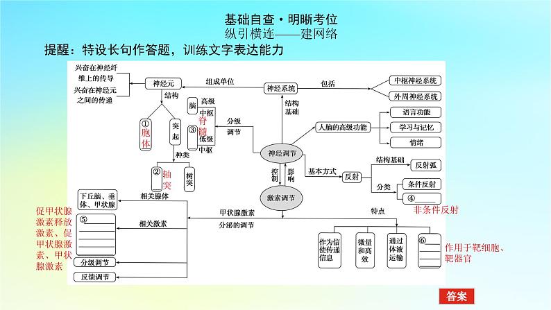 新教材2024高考生物二轮专题复习专题五生命系统的稳态与调节第2讲动物生命活动的调节课件04