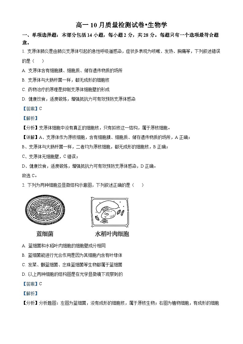 江苏省镇江地区2023-2024学年高一上学期10月月考生物试题（Word版附解析）第1页
