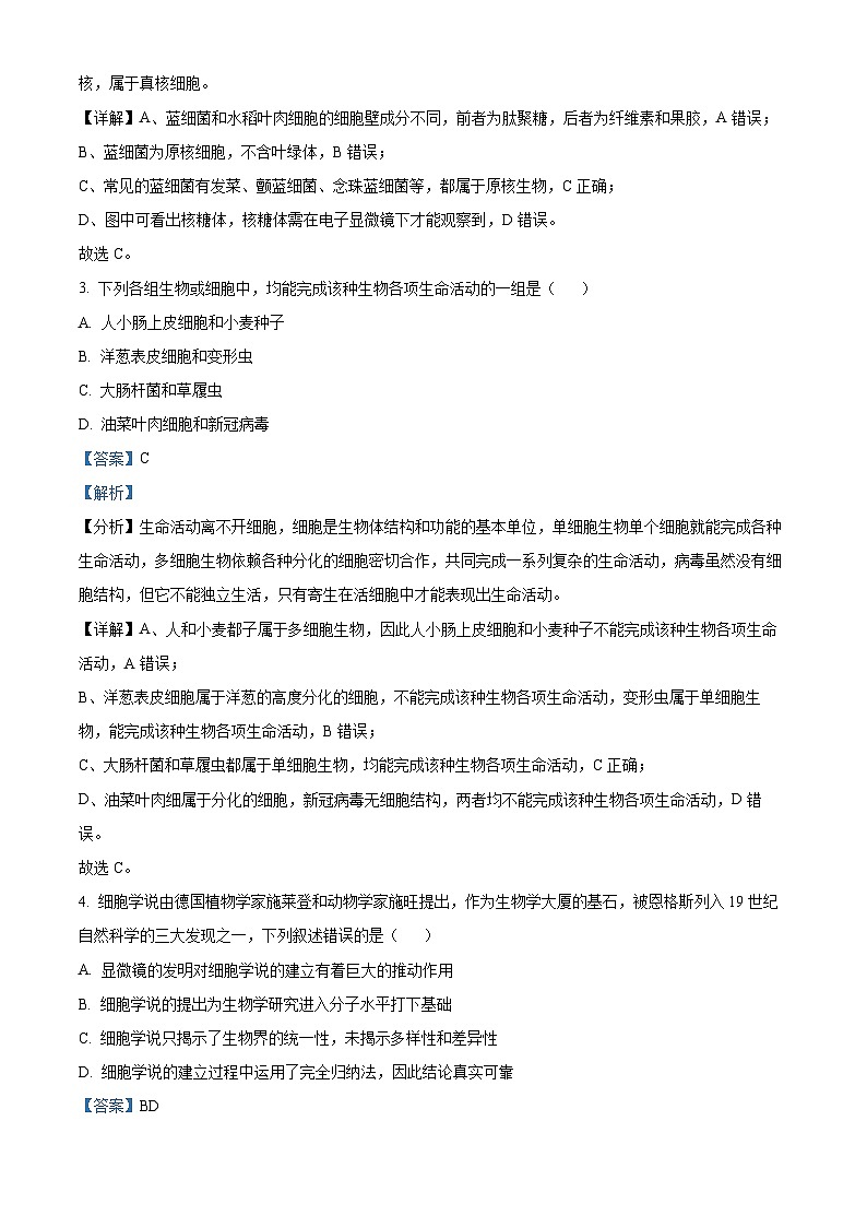 江苏省镇江地区2023-2024学年高一上学期10月月考生物试题（Word版附解析）第2页