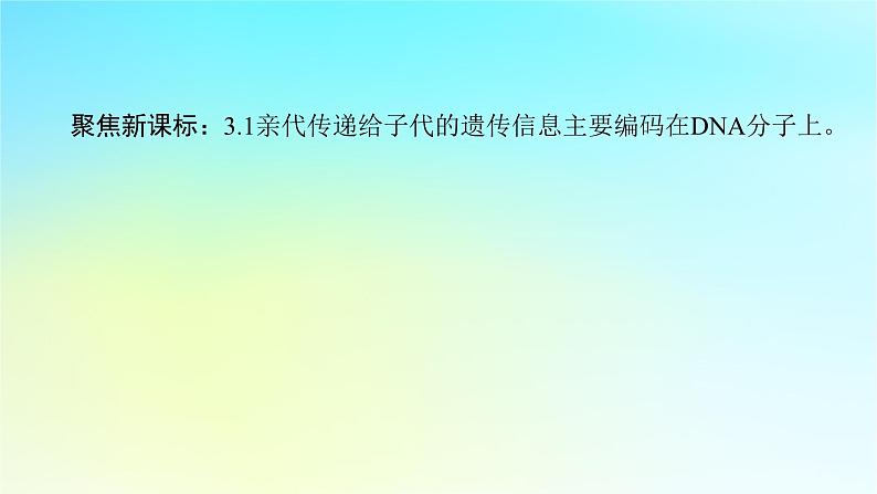 新教材2024高考生物二轮专题复习专题四生命系统的遗传变异进化第1讲遗传的分子基次件课件PPT02