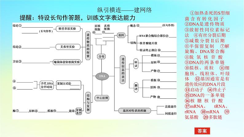 新教材2024高考生物二轮专题复习专题四生命系统的遗传变异进化第1讲遗传的分子基次件课件PPT05