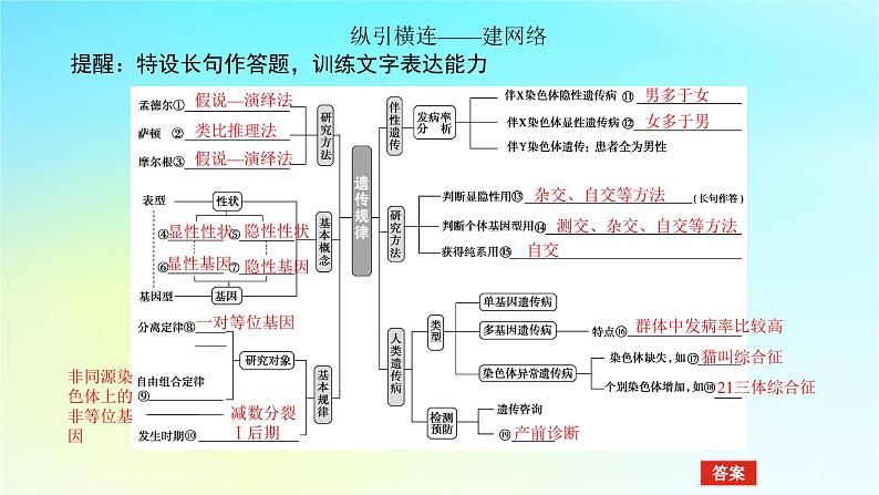 新教材2024高考生物二轮专题复习专题四生命系统的遗传变异进化第2讲遗传的基本规律与人类遗传参件课件PPT05