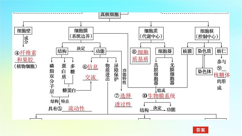 新教材2024高考生物二轮专题复习专题一生命系统的物质基础和结构基础第2讲生命系统的结构基次件课件PPT第5页