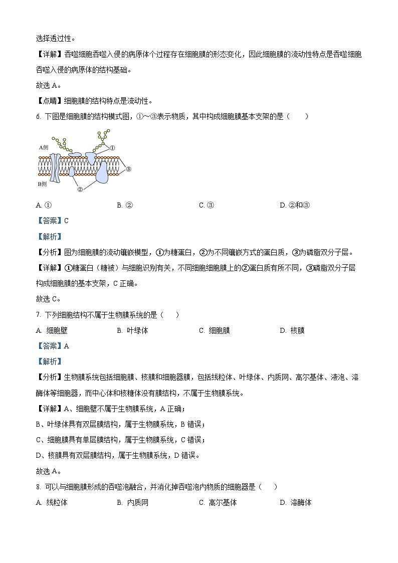 江苏省扬州中学2023-2024学年高一上学期11月期中生物试题（Word版附解析）03