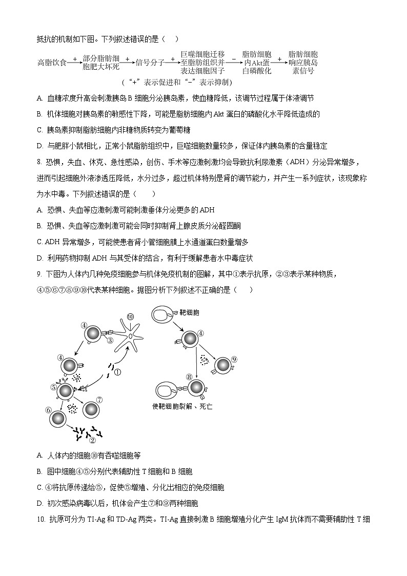 山东省德州市实验中学2023-2024学年高二上学期期中生物试题（Word版附解析）03