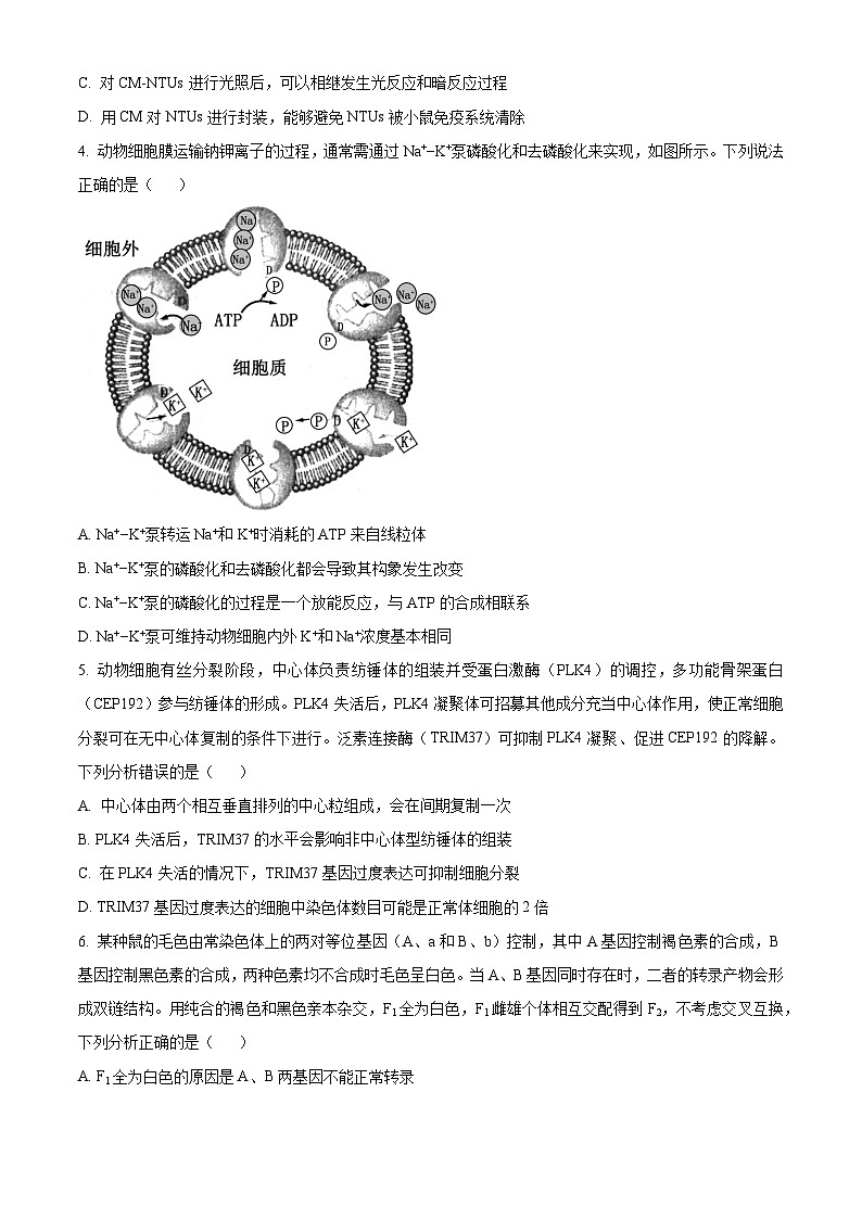 山东省青岛局属、青西、胶州等地2023-2024学年高三上学期期中大联考生物试题（Word版附解析）第2页