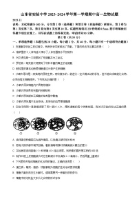 山东省实验中学2023-2024学年高一上学期期中生物试题（Word版附解析）