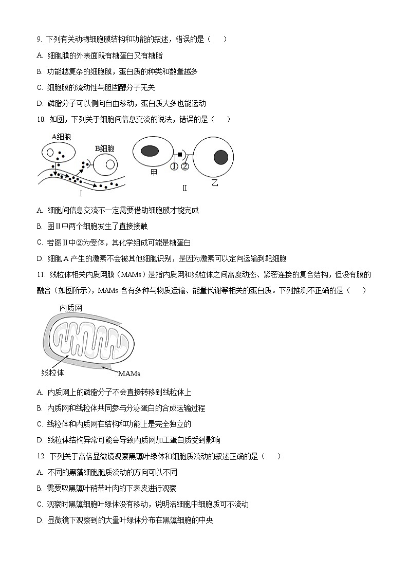 山东省实验中学2023-2024学年高一上学期期中生物试题（Word版附解析）03