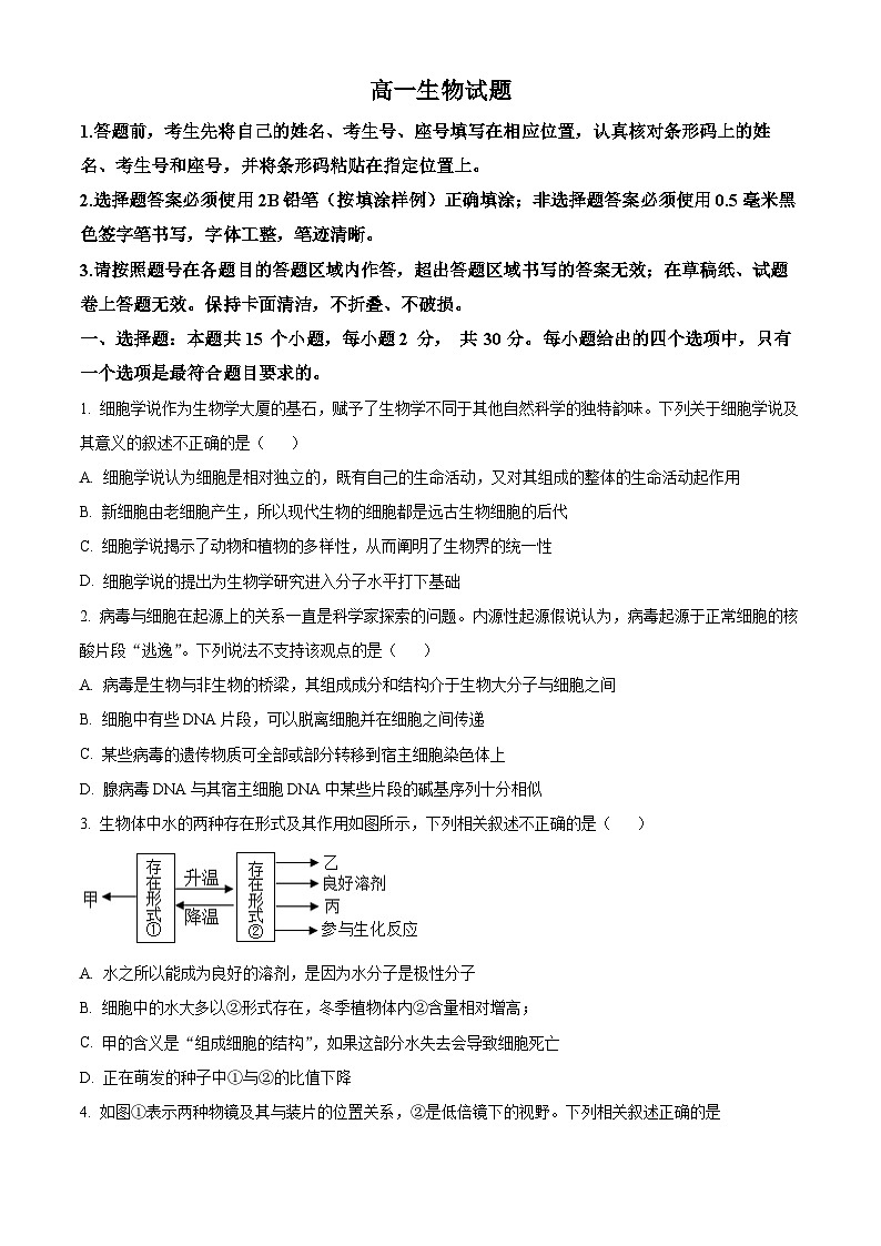 山东省泰安市肥城市2023-2024学年高一上学期期中生物试题（Word版附解析）01