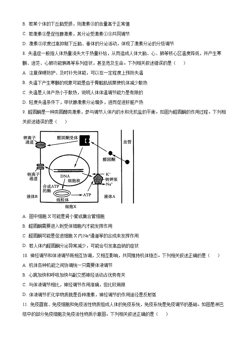 山西省吕梁市部分学校2023-2024学年高二上学期11月联考生物试题（Word版附答案）第3页