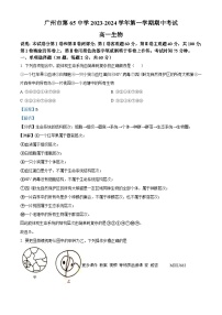 广东省广州市六十五中2023-2024学年高一上学期期中生物试题（解析版）