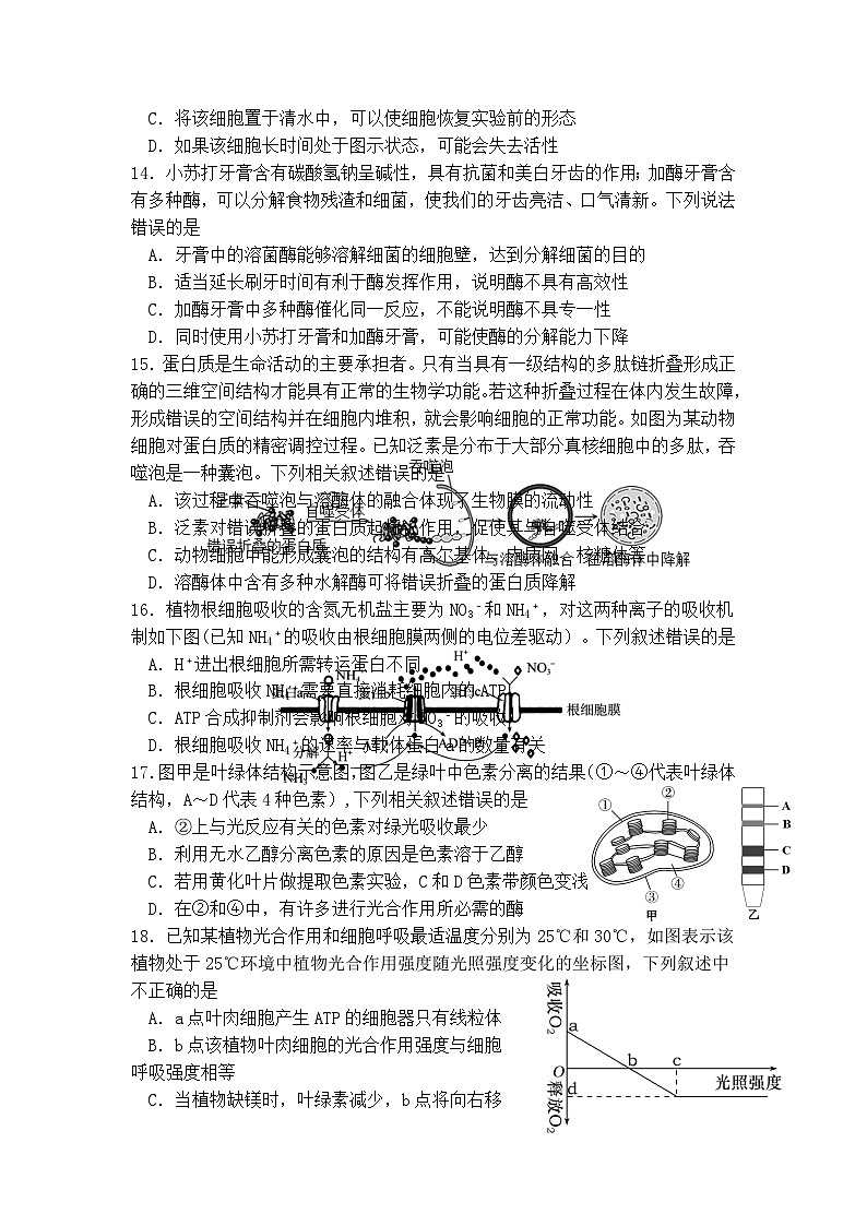 139，福建省连城县第一中学2023-2024学年高一上学期12月月考生物试题03