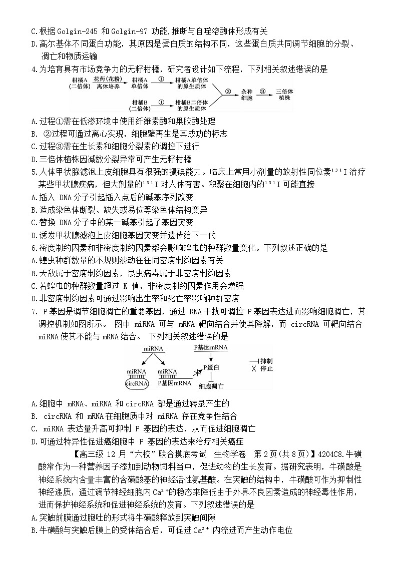 广东省六校（清中、河中、北中、惠中、阳中、茂中）2023-2024学年高三上学期12月联合摸底考试生物试题第2页