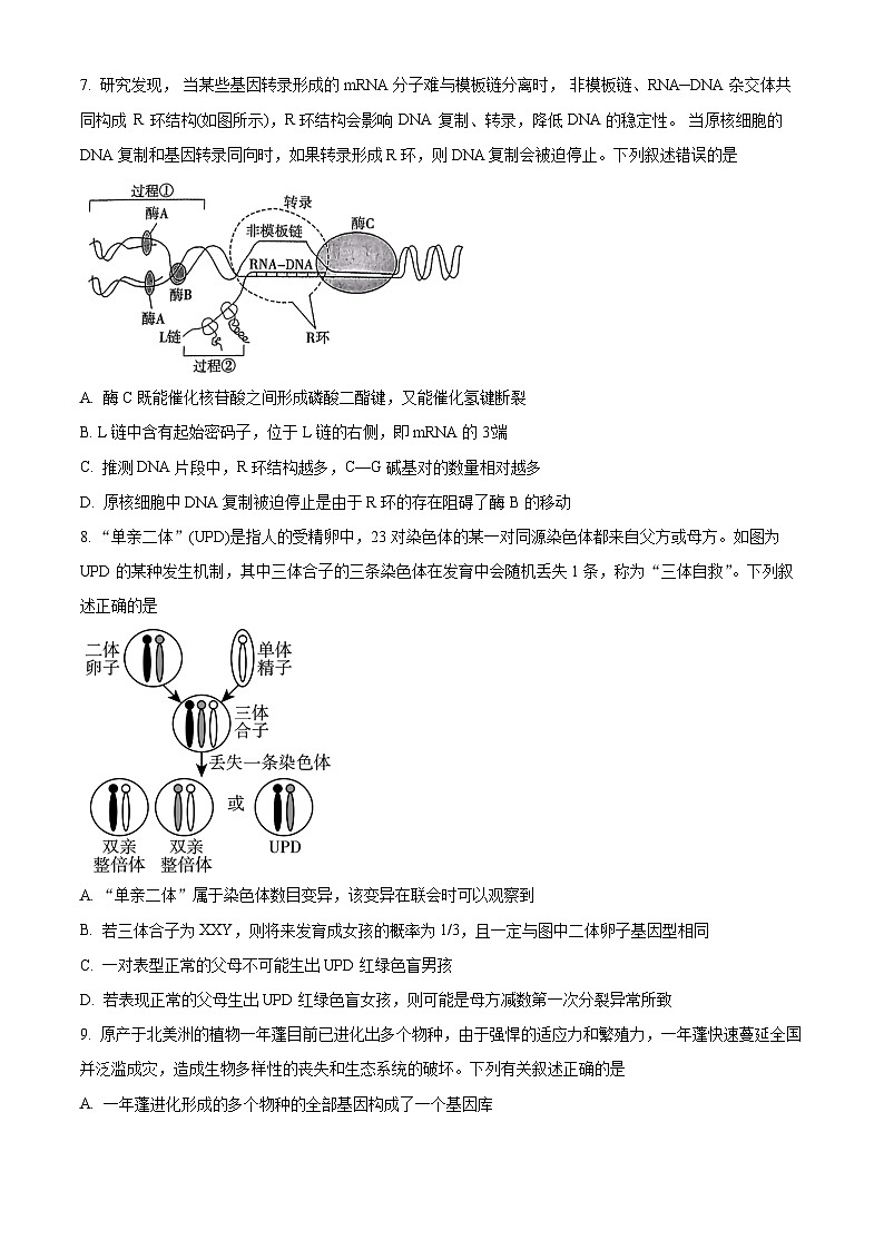 精品解析：重庆市巴蜀中学校2023-2024学年高三上学期月考（五）生物试题（原卷版）第3页