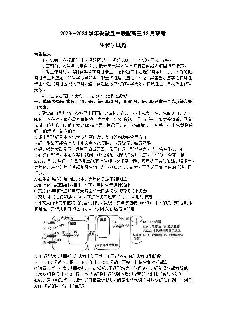 安徽省县中联盟2023-2024学年高三上学期12月联考生物试题01