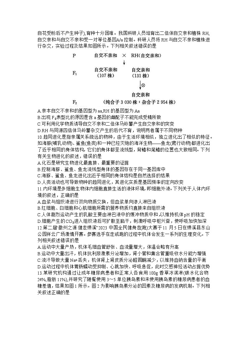 安徽省县中联盟2023-2024学年高三上学期12月联考生物试题03