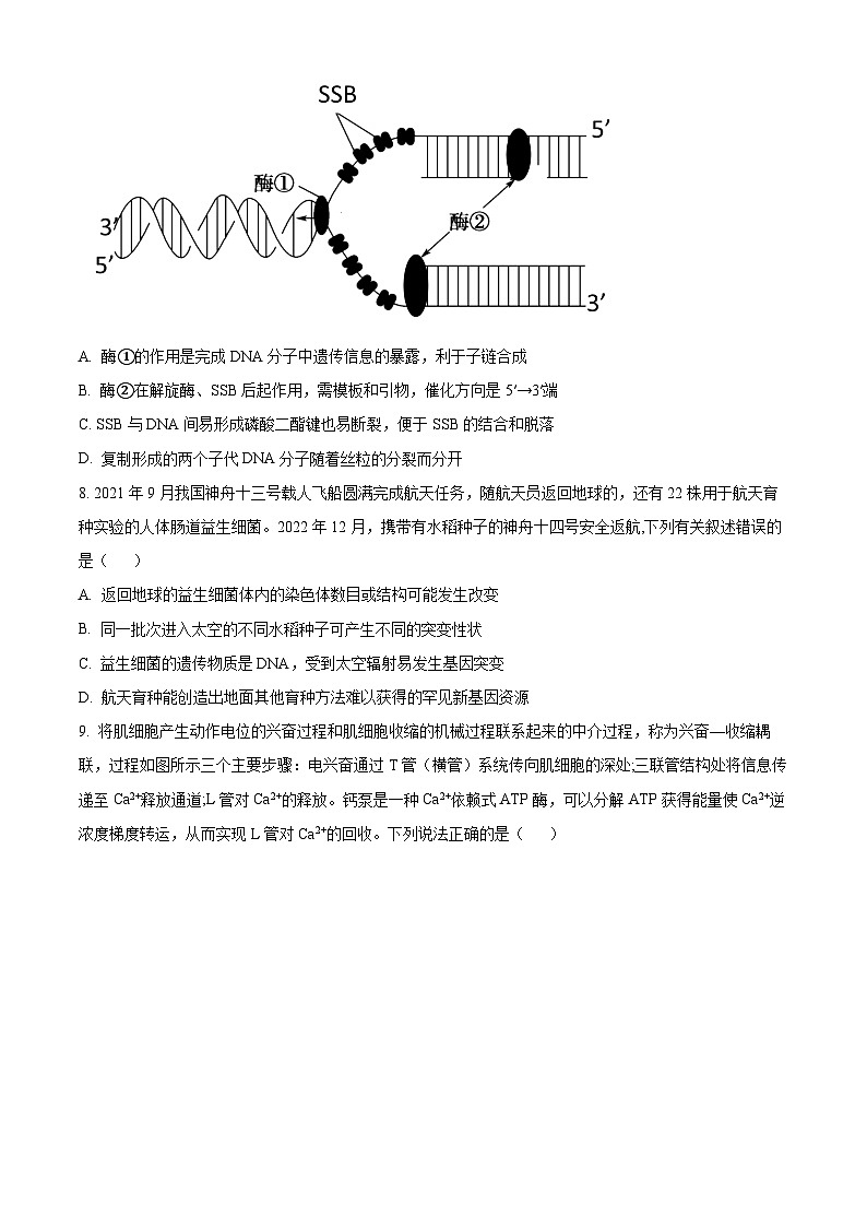 精品解析：江苏省无锡市四校2023-2024学年高三12月学情调研生物试题（原卷版）第3页
