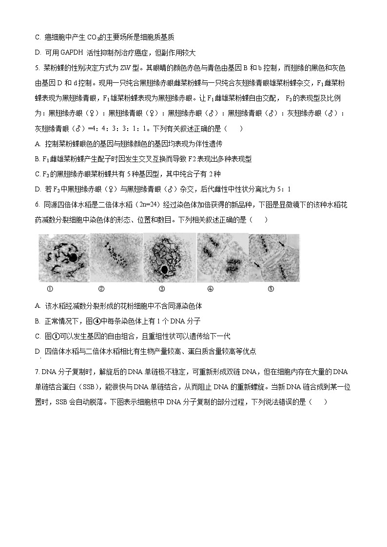 江苏省无锡市四校2023-2024学年高三12月学情调研生物试题02